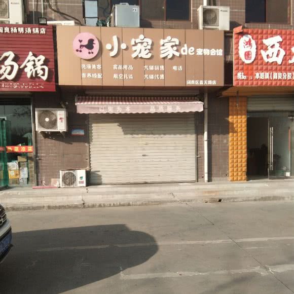 小宠家de宠物会馆(阎良区蓝天路店):西安市阎良区阎良区附近