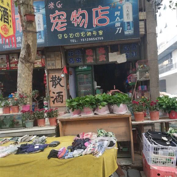 米乐宠物店:西安市临潼区临潼区附近