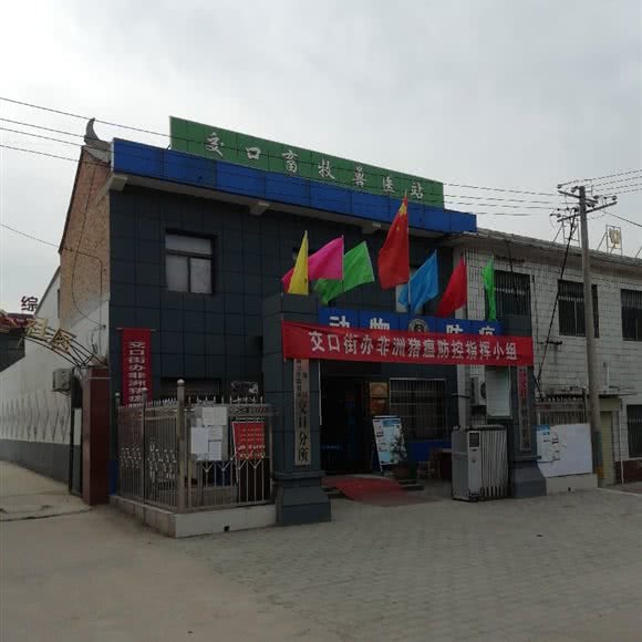 交口畜牧兽医站:西安市临潼区临潼区附近