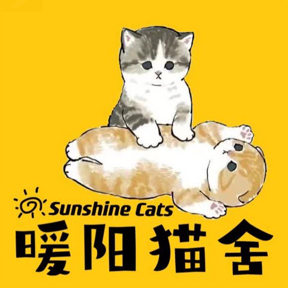暖阳猫舍(凤栖原店):西安市长安区韦曲西街附近
