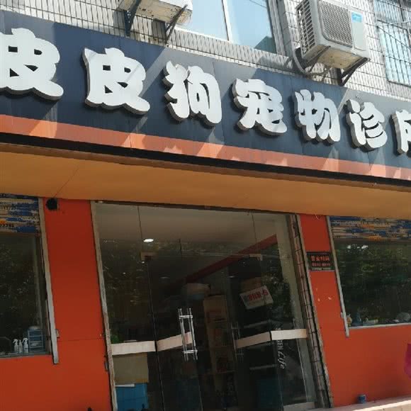 皮皮狗宠物诊所:西安市长安区韦曲西街附近