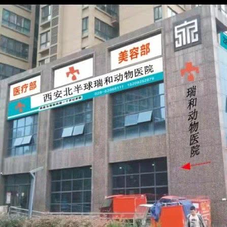 北半球瑞和动物医院:西安市长安区长安广场附近