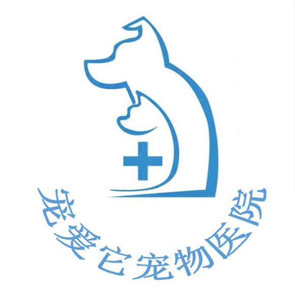 宠爱它宠物医院:铜川市耀州区长丰市场附近