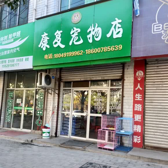 康复宠物店:铜川市耀州区永安广场附近