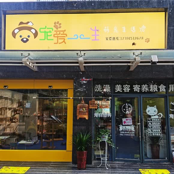 宠爱一生萌宠生活馆:宝鸡市渭滨区高新区附近