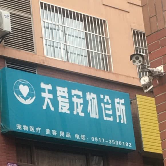 关爱宠物诊所:宝鸡市渭滨区高新区附近