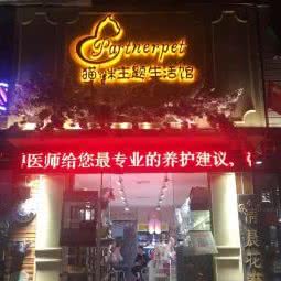 猫咪生活馆:咸阳市秦都区秦都区中心城区附近