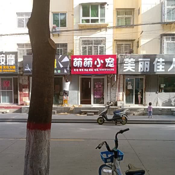 萌萌小宠:咸阳市秦都区秦都区中心城区附近