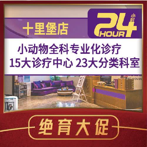 宠爱国际动物医院(24h十里堡店):北京城区朝阳区十里堡附近