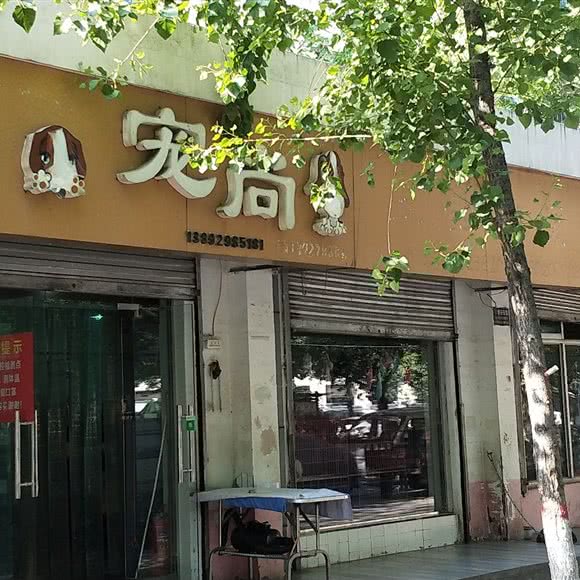 宠尚宠物会所:咸阳市秦都区彩虹十字附近