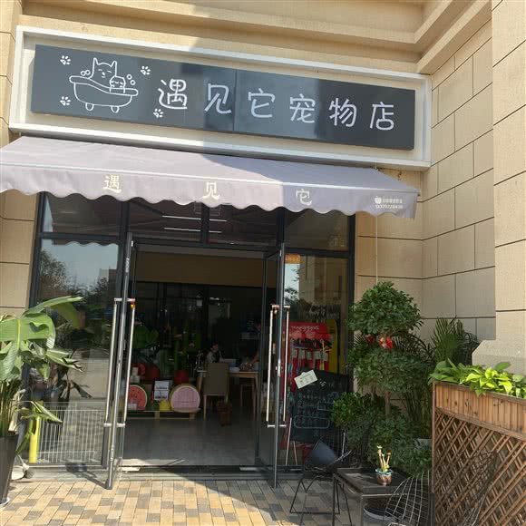 遇见它:咸阳市秦都区世纪大道附近