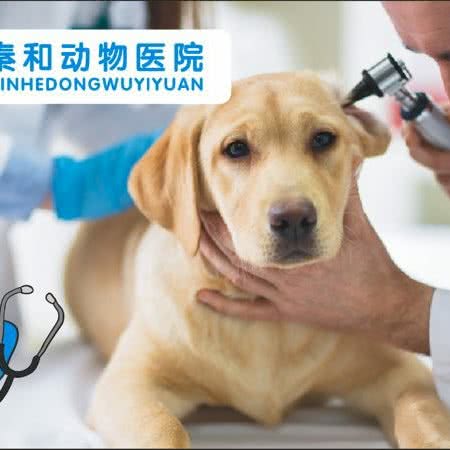 秦和动物医院(渭城分院):咸阳市秦都区统一广场附近