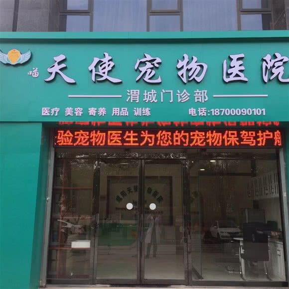 天使宠物医院((渭城店)):咸阳市渭城区文林路附近