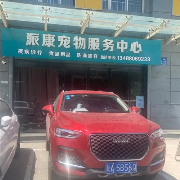 派康宠物服务中心:咸阳市渭城区咸阳市第一人民医院附近
