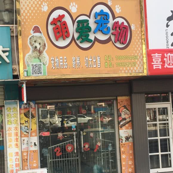 萌爱宠物:咸阳市彬州市彬州市附近