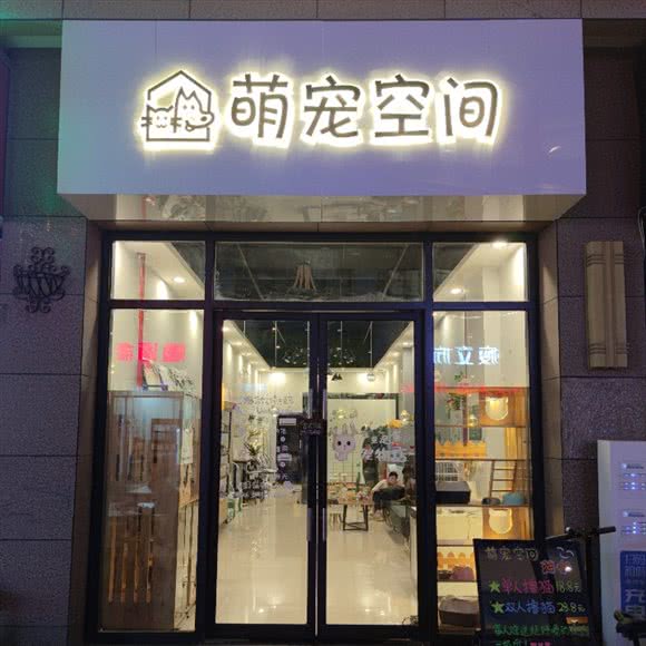 萌宠空间宠物会所·猫咖:渭南市临渭区万达广场附近