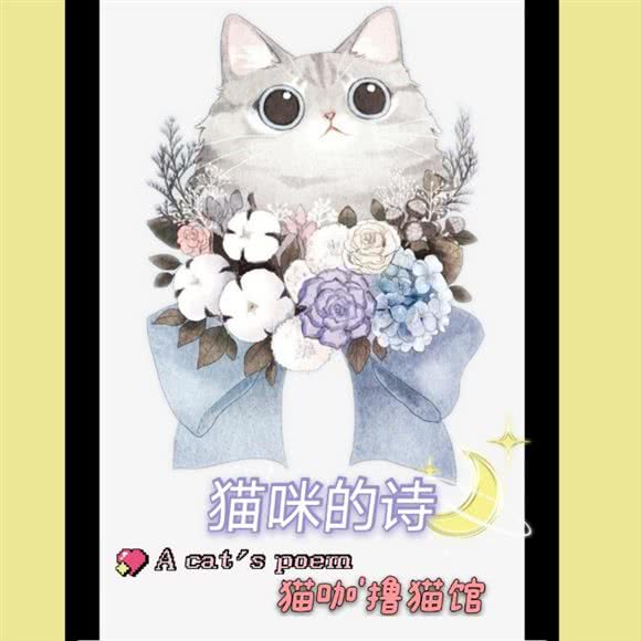 猫咪的诗·猫咖(撸猫馆):渭南市临渭区西四路附近