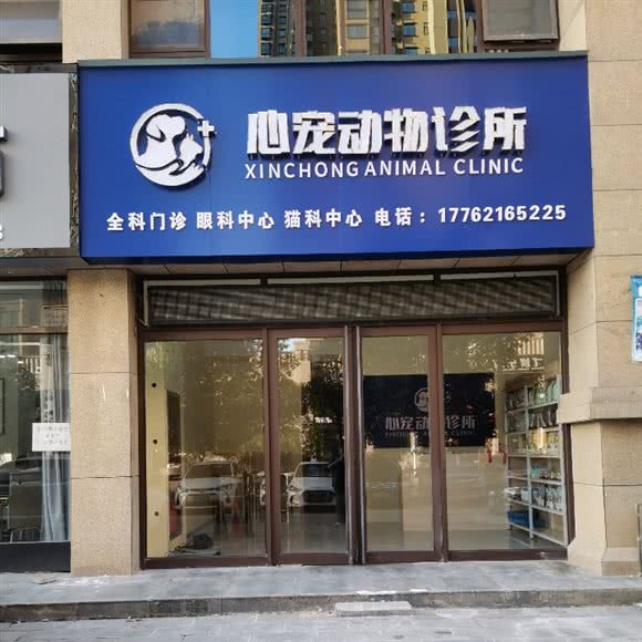 心宠动物诊所(犬科门诊 眼科中心 猫科中心):汉中市汉台区祥瑞四季印象附近