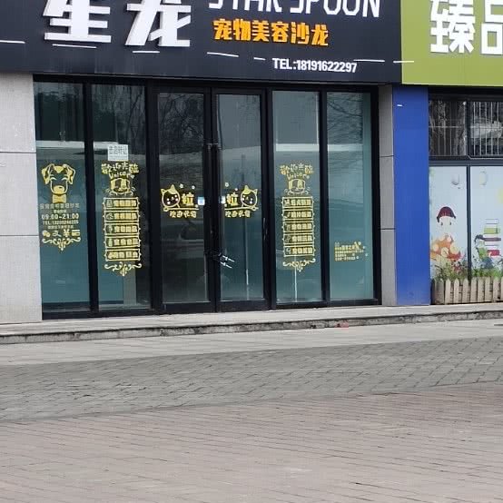 星宠宠物美容沙龙:汉中市南郑区大河坎镇附近