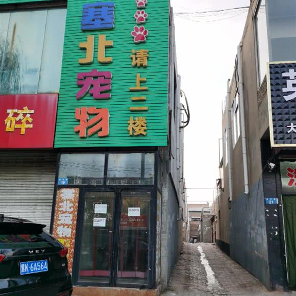 塞北宠物:榆林市榆阳区东沙附近