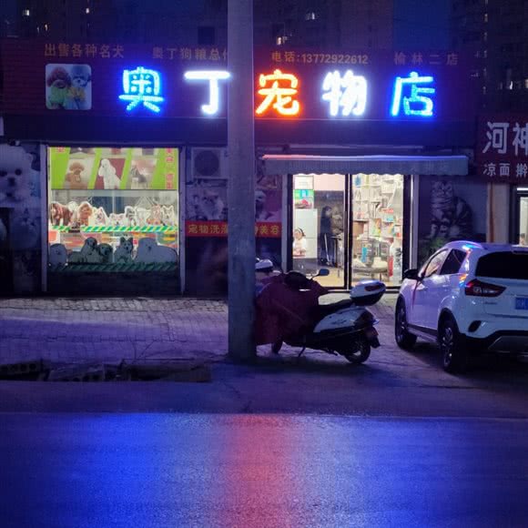 奥丁宠物店(榆林二店):榆林市榆阳区二里畔附近