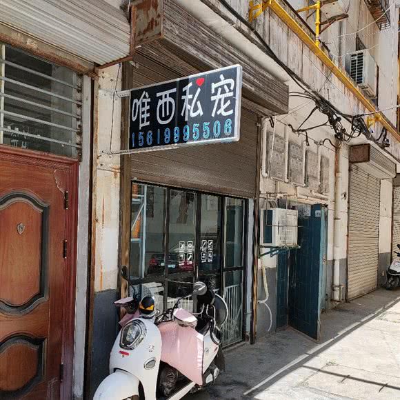 唯西宠物:商洛市商州区万事达广场附近