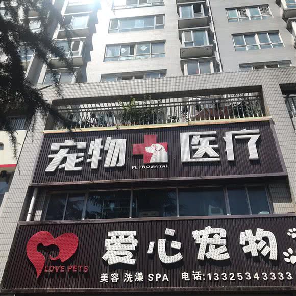 爱心宠物宠物医疗(通江路店):商洛市商州区新政府附近