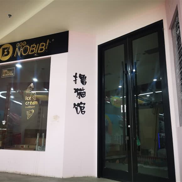 趣味的仓鼠撸猫馆:兰州市城关区张掖路附近