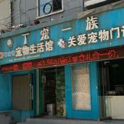 丁宠一族咔哇伊宠物店:兰州市城关区甘南路附近