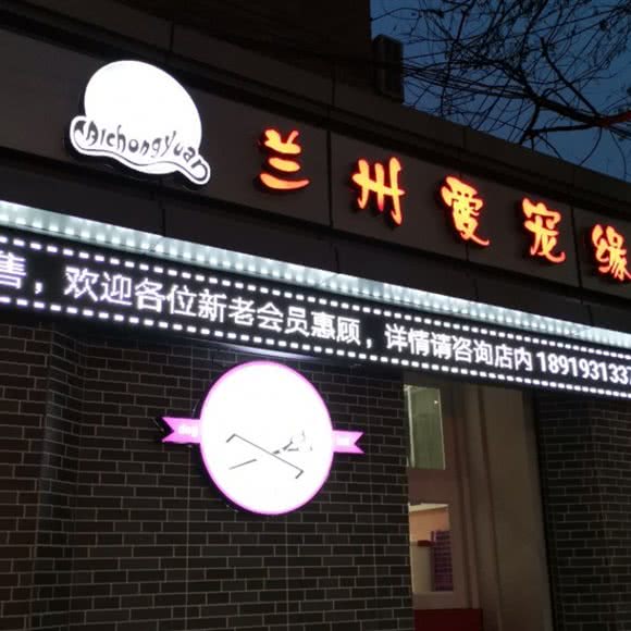 爱宠缘:兰州市城关区平凉路附近