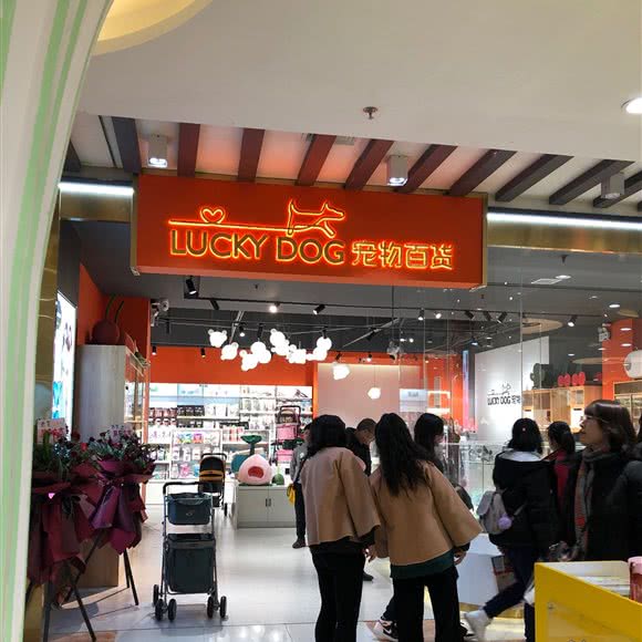 LUCKY DOG狗狗百货:兰州市城关区平凉路附近