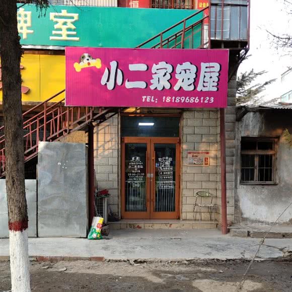 小二家宠屋:兰州市城关区东岗东路附近