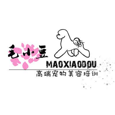 毛小豆宠物美容:兰州市城关区麦积山路附近