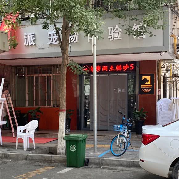 派宠物体验馆:兰州市城关区民主西路附近