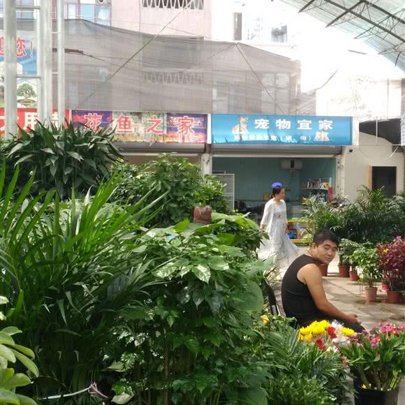 宠物宜家:兰州市城关区火车站附近