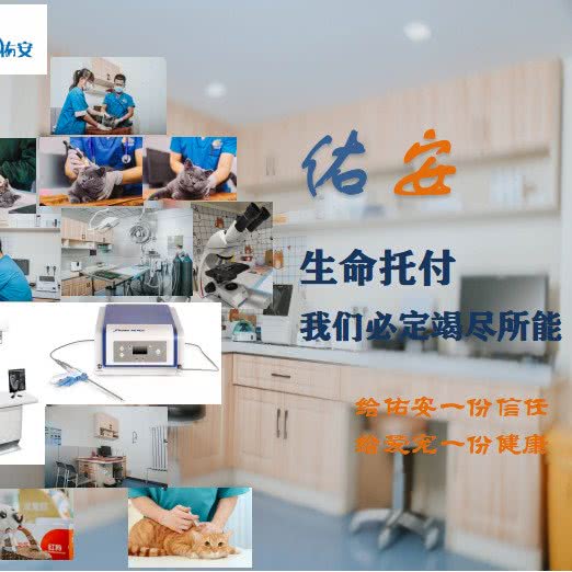 佑安动物医院(定西路店):兰州市城关区火车站附近