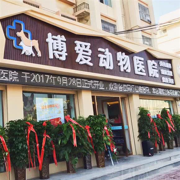 仁爱动物医院:兰州市城关区北面滩附近