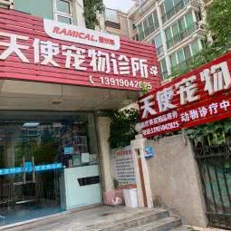 天使宠物医院:兰州市城关区新港城附近