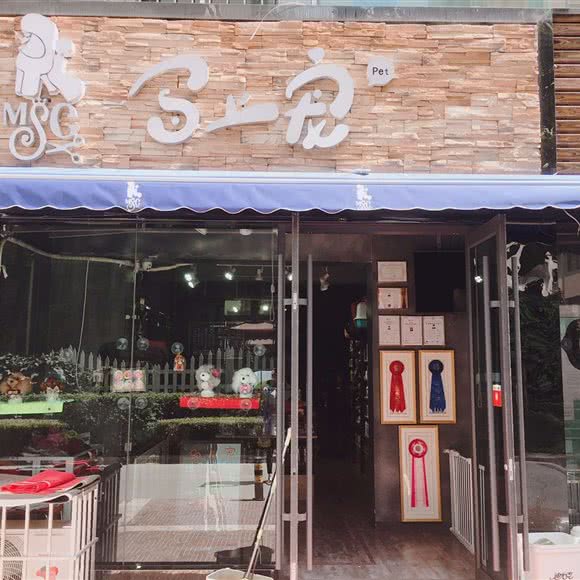 马上宠宠艺美容培训学校((建工局店)):兰州市七里河区倚能附近