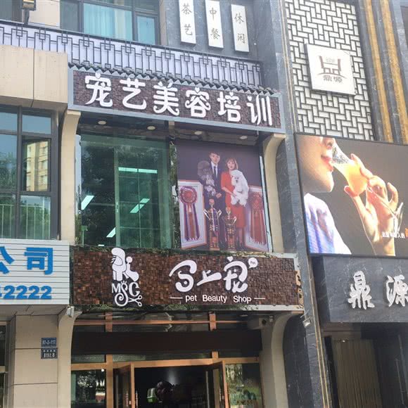 马上宠宠艺美容培训学校(土门墩店):兰州市七里河区秀川附近
