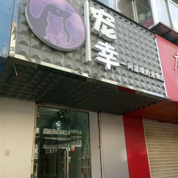 宠幸宠物店:兰州市西固区福利路附近