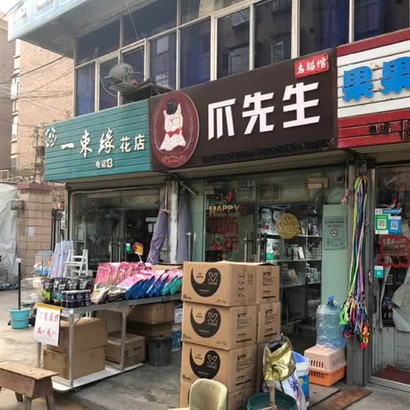 爪先生名猫馆:兰州市西固区福利路附近