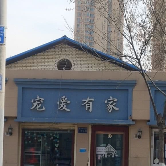 宠爱有家:兰州市安宁区费家营十字附近