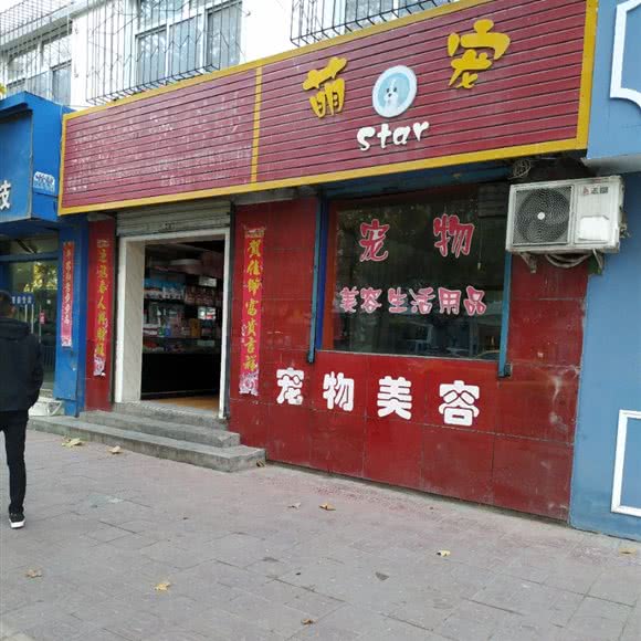 萌宠:天水市麦积区秦州商场附近