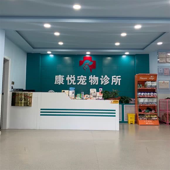 康悦宠物诊所:武威市凉州区迎宾路附近