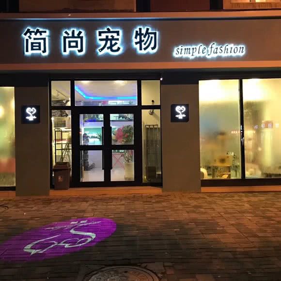 简尚宠物狗:西宁市城东区国际村附近