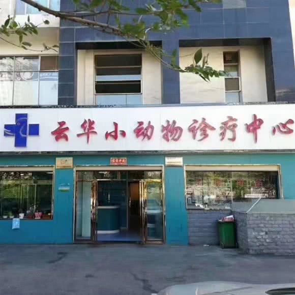 云华小动物诊疗中心(国际村店):西宁市城东区国际村附近