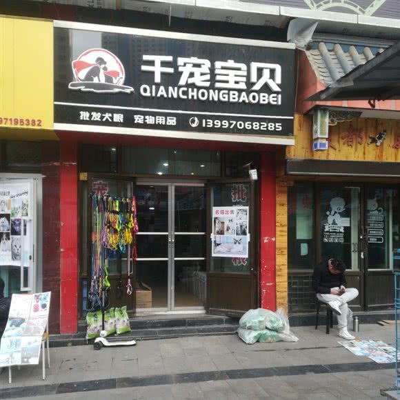 千宠宝贝:西宁市城西区胜利路附近