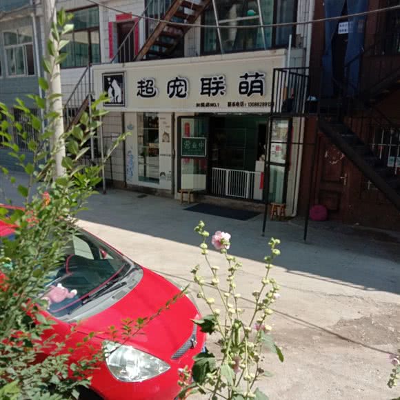 超宠联萌宠物店:西宁市城西区西郊附近