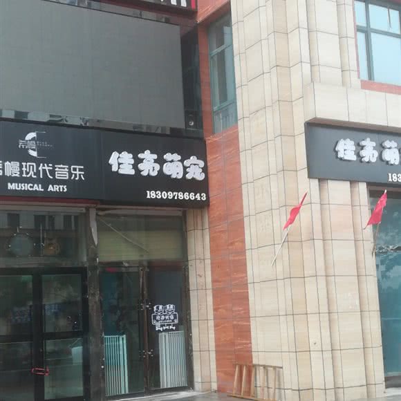 佳亮萌宠:西宁市城西区西郊附近